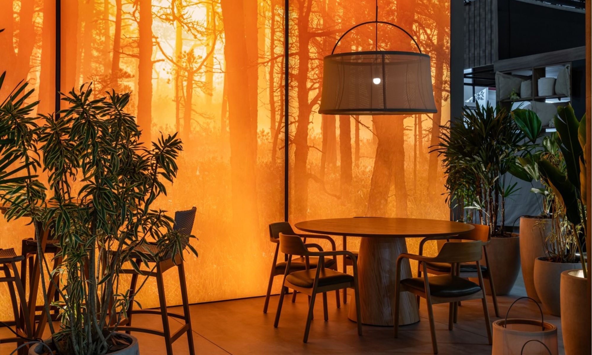 saccaro painel iluminado dresswall